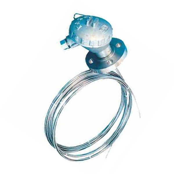 多點(diǎn)鎧裝熱電阻