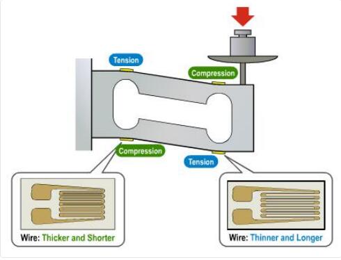 關(guān)于上海自動化儀表有限公司的稱重傳感器網(wǎng)絡(luò)研討會回顧1