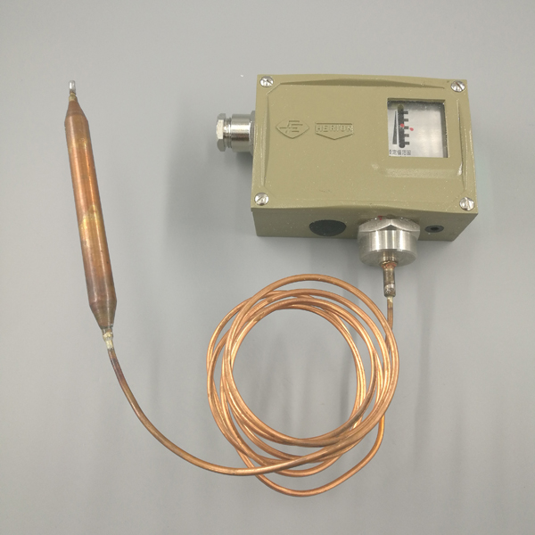 D541/7T防爆型溫度控制器